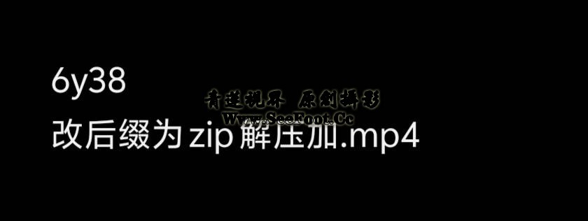 提取码