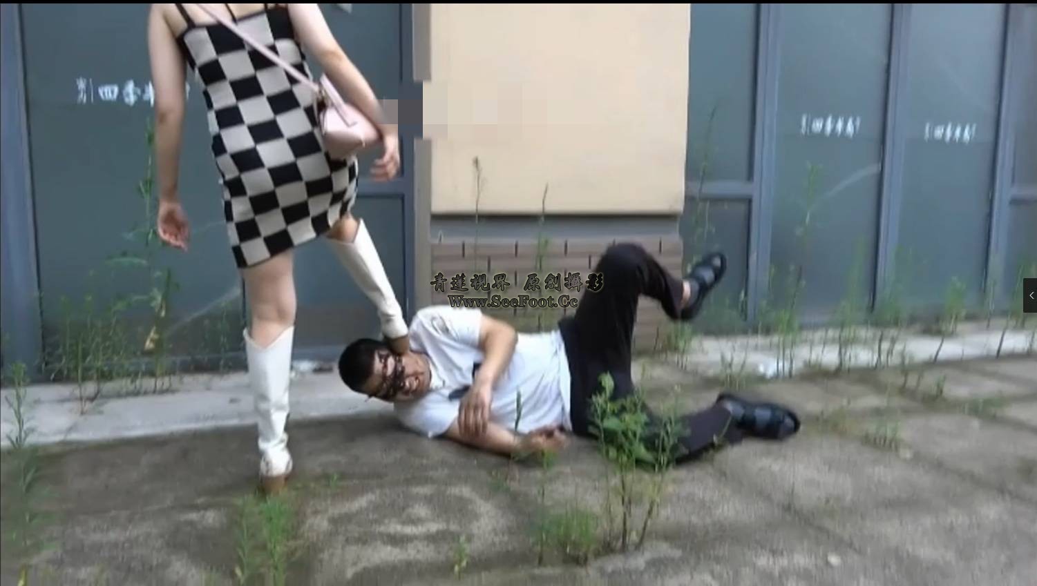 QQ截图20240226155142.png